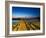 Good Harbour Beach Footbridge, Gloucester, Cape Ann, Massachusetts, USA-Walter Bibikow-Framed Photographic Print