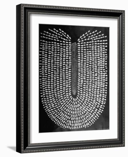 Good Kernels from a Sample Ear of Corn in a Laboratory-Wallace Kirkland-Framed Photographic Print