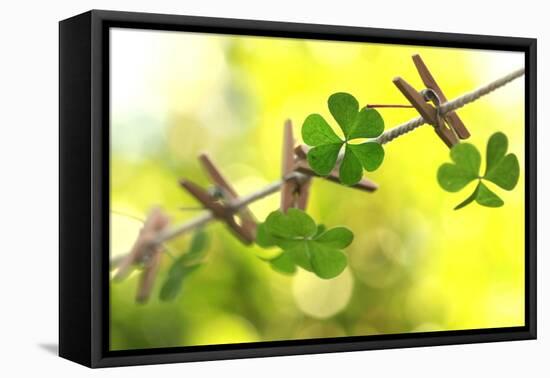 Good Luck for the Future-Incredi-Framed Premier Image Canvas