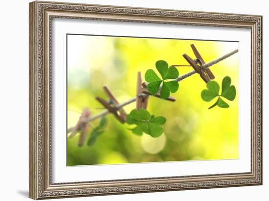 Good Luck for the Future-Incredi-Framed Photographic Print
