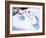 Good Morning Snowman - Jack & Jill-Beth Henninger-Framed Giclee Print