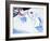 Good Morning Snowman - Jack & Jill-Beth Henninger-Framed Giclee Print