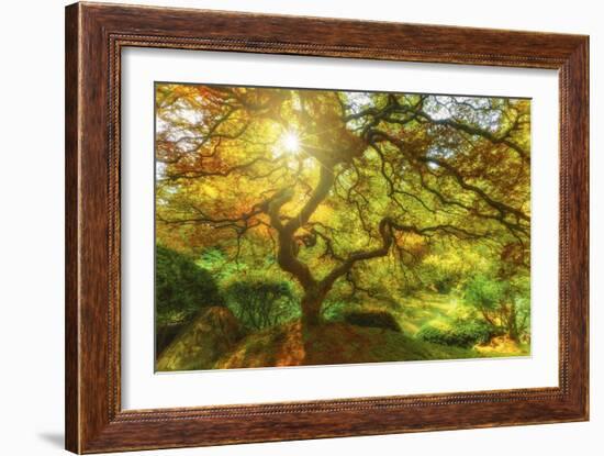 Good Morning Sunshine-Darren White Photography-Framed Photographic Print