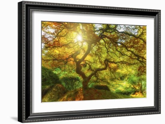 Good Morning Sunshine-Darren White Photography-Framed Photographic Print