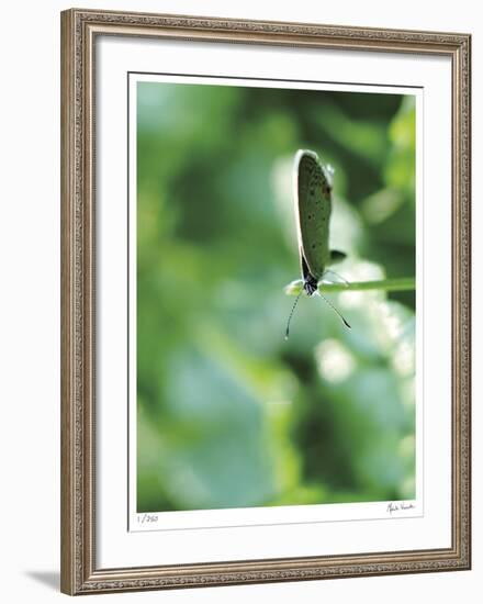 Good Morning-Michelle Wermuth-Framed Giclee Print