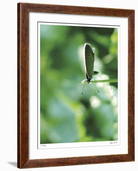 Good Morning-Michelle Wermuth-Framed Giclee Print