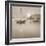 Good Morning-Adrian Campfield-Framed Photographic Print