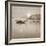 Good Morning-Adrian Campfield-Framed Photographic Print