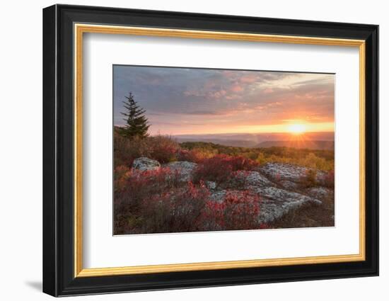 Good Morning-Danny Head-Framed Photographic Print