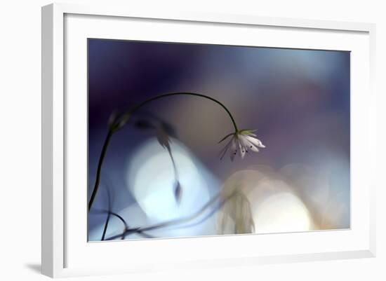 Good Night-Heidi Westum-Framed Photographic Print