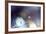 Good Night-Heidi Westum-Framed Photographic Print