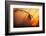 Good Night-Francois Casanova-Framed Photographic Print