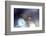 Good Night-Heidi Westum-Framed Photographic Print