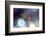 Good Night-Heidi Westum-Framed Photographic Print