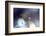 Good Night-Heidi Westum-Framed Photographic Print