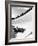 Good of Cresta Run, Bobsled Run, Coasting around Sunny Bend as People Peer from Above the Track-Alfred Eisenstaedt-Framed Photographic Print