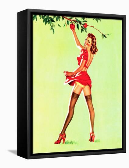 Good Pickin's Pin-Up c1940s-Art Frahm-Framed Stretched Canvas