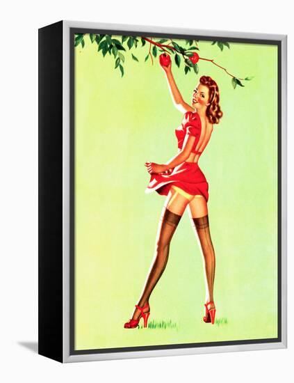 Good Pickin's Pin-Up c1940s-Art Frahm-Framed Stretched Canvas