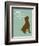 Good Things-Dog is Good-Framed Premium Giclee Print