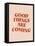 Good Things-Beth Cai-Framed Premier Image Canvas
