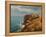 Goodbye Summer-kirilstanchev-Framed Stretched Canvas