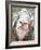 Goodness Goat-Elizabeth St. Hilaire-Framed Art Print