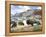 Goodnight's Legacy-Jack Sorenson-Framed Stretched Canvas