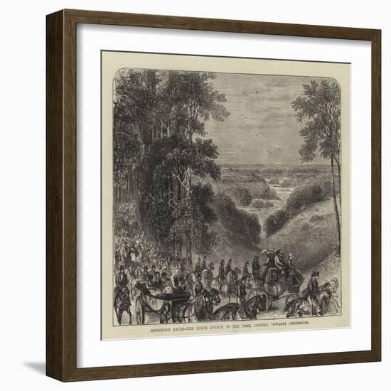 Goodwood Races, the Beech Avenue in the Park, Looking Towards Chichester-null-Framed Giclee Print