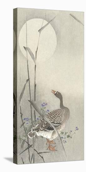 Goose at Full Moon - Gander-Ohara Koson-Framed Stretched Canvas