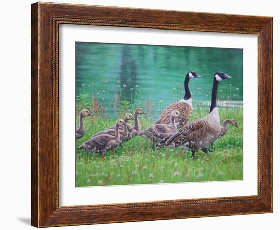 Goose Family Outing-Bruce Dumas-Framed Giclee Print