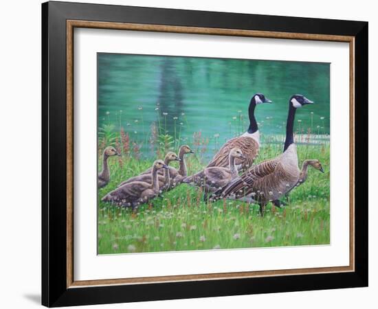 Goose Family Outing-Bruce Dumas-Framed Giclee Print