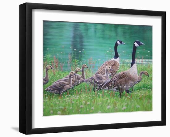 Goose Family Outing-Bruce Dumas-Framed Giclee Print