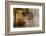 Goose Fight-Anton Van Dongen-Framed Photographic Print