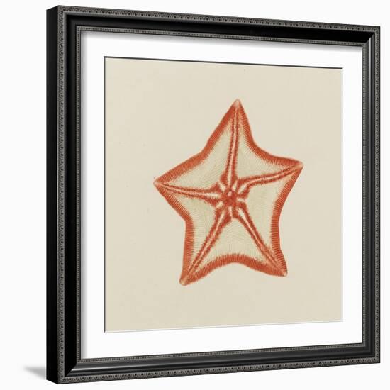 Goose Foot Starfish-Philip Henry Gosse-Framed Giclee Print