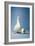 Goose Standing Beside Golden Egg, Studio Shot-null-Framed Photo