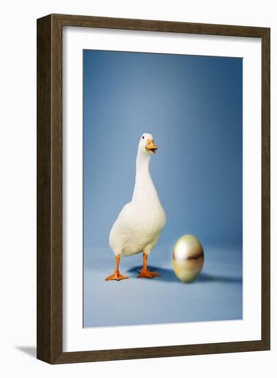 Goose Standing Beside Golden Egg, Studio Shot-null-Framed Photo