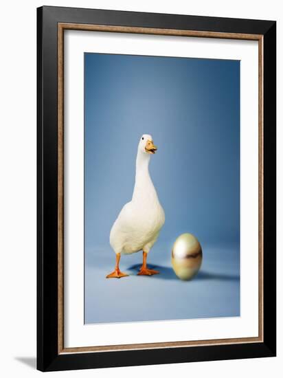 Goose Standing Beside Golden Egg, Studio Shot-null-Framed Photo