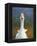 Goose-James W. Johnson-Framed Premier Image Canvas