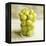 Gooseberries in a Glass-Ming Tang-evans-Framed Premier Image Canvas