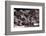 Gooseberry Badlands Wyoming BW-Steve Gadomski-Framed Photographic Print