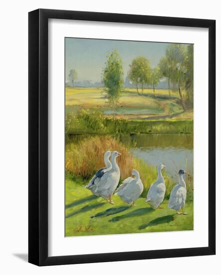 Gooseguard-Timothy Easton-Framed Giclee Print