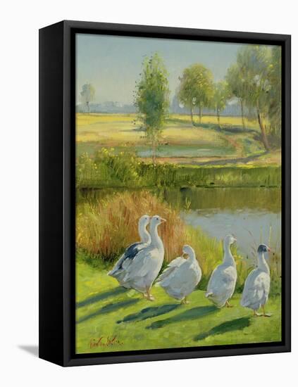 Gooseguard-Timothy Easton-Framed Premier Image Canvas