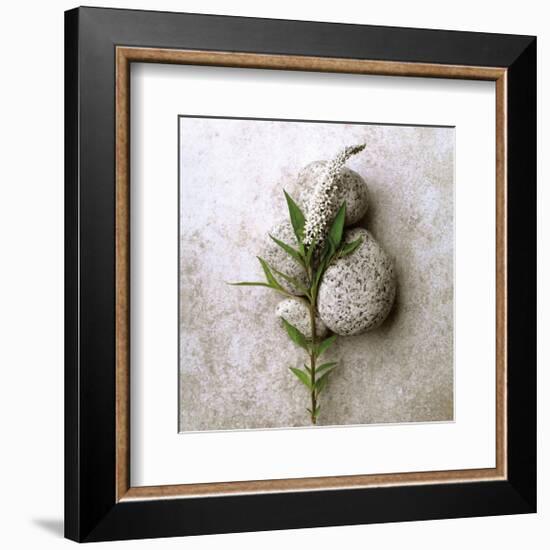 Gooseneck On Stone-Glen and Gayle Wans-Framed Giclee Print