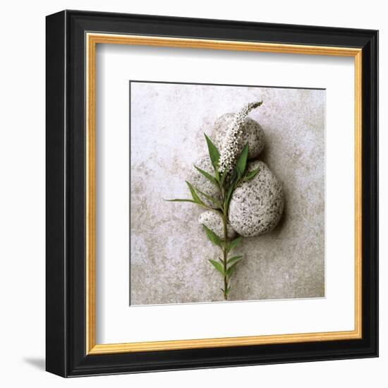 Gooseneck On Stone-Glen and Gayle Wans-Framed Giclee Print