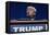 GOP 2016 Congress and Trump-Lm Otero-Framed Premier Image Canvas