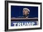 GOP 2016 Congress and Trump-Lm Otero-Framed Photographic Print