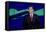 GOP 2016 Debate-David J Phillip-Framed Premier Image Canvas