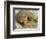 Gopher Tortoise, Gopherus Polyphemus, Wiregrass Community, Central Florida, USA-Maresa Pryor-Framed Photographic Print