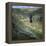 Gordale Scar, Yorkshire Dales National Park, North Yorkshire, England, United Kingdom, Europe-Roy Rainford-Framed Premier Image Canvas