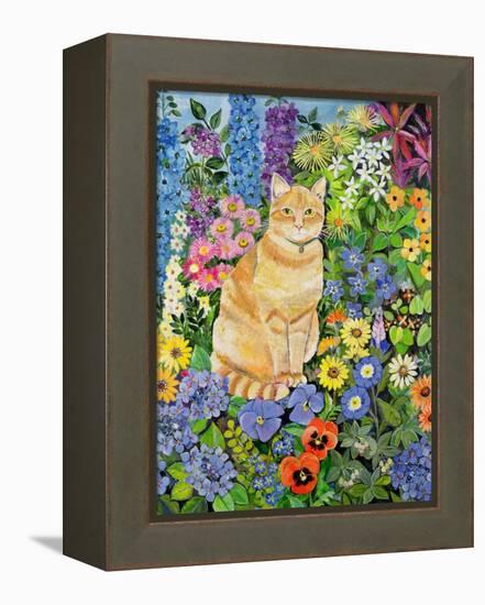 Gordon's Cat, 1996-Hilary Jones-Framed Premier Image Canvas